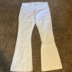 Hudson Ferris Flap Flare